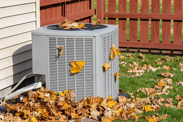 Best Furnace Cleaning in Riddle, OR